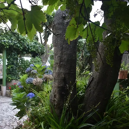 Casa Con Piscina Al Lado Del Mar En Viladesuso * Villadesuso