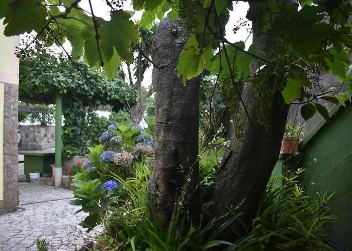 Casa Con Piscina Al Lado Del Mar En Viladesuso * Villadesuso